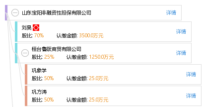 山東寶陽非融資性擔保業(yè)務解析